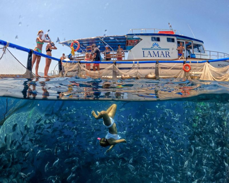 Kamiros Skala: Marine Life Experience by Boat - Final Thoughts