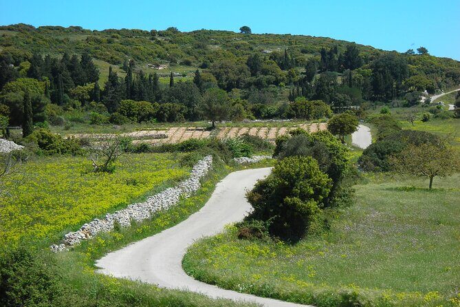 Kampi Sunset - In-Depth Look at the Kampi Sunset Tour