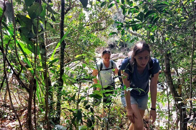 Kampot Day Tour "Bokor National Park" - Price and Value Analysis