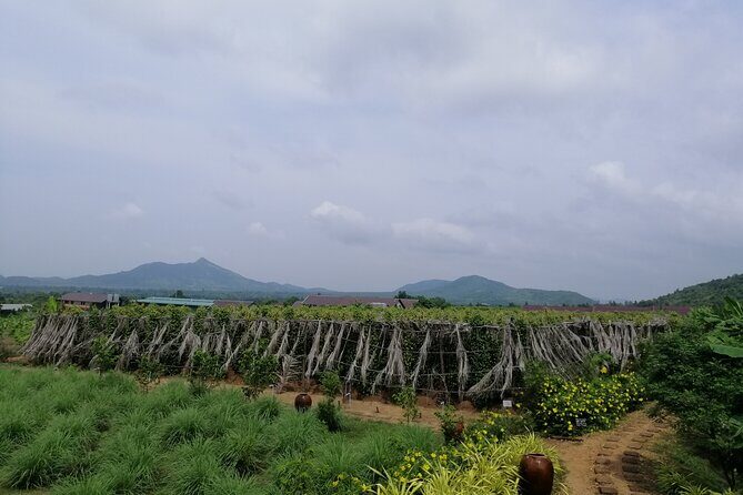 Kampot Tour Pepper Plantation, Salt Field, Cave, Secret Lake - Practical Details That Matter