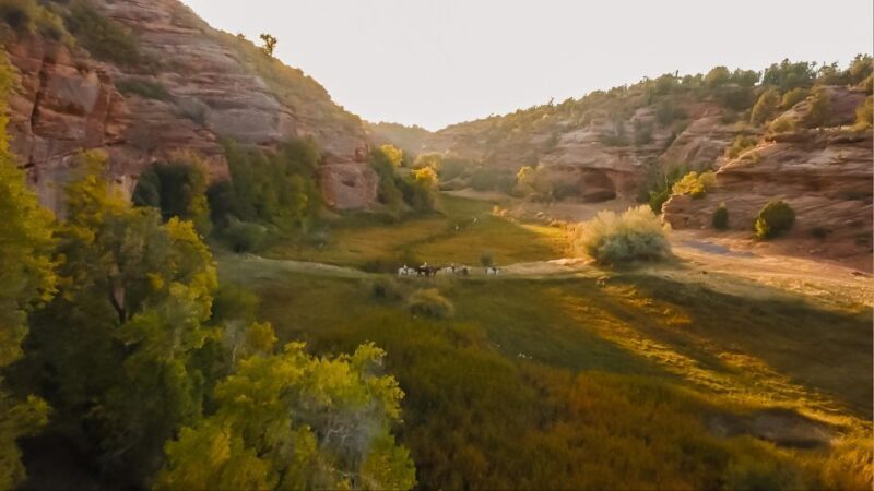 Kanab: Cave Lakes Canyon Horseback Riding Experience - A Scenic Ride Through Cave Lakes Canyon