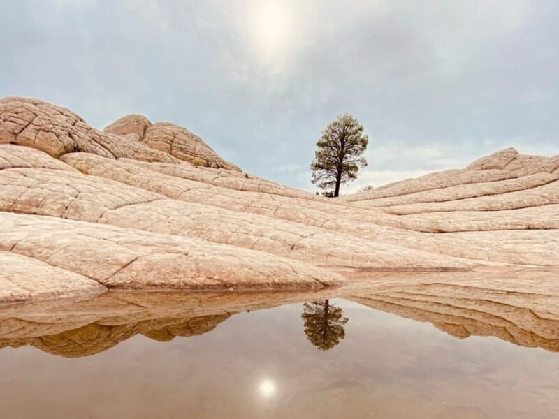 Kanab: White Pocket Rock Formation Tour - Final Thoughts
