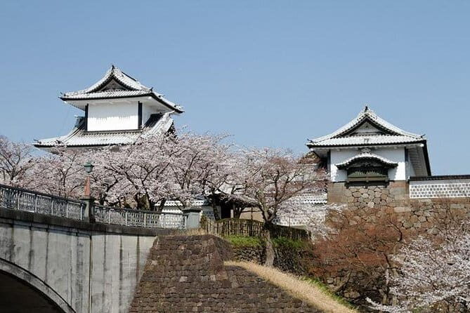 Kanazawa Private 3 Hour Bar Hopping Tour with Local Guide - Final Thoughts