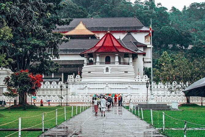 Kandy All Inclusive Day Tour from Colombo - Discover Kandy on an All-Inclusive Day Tour from Colombo