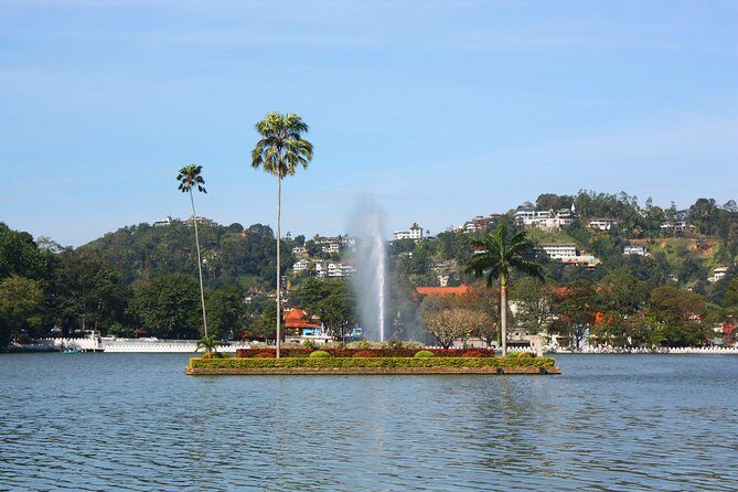 Kandy City Day Tour - Attending the Tour: What to Expect