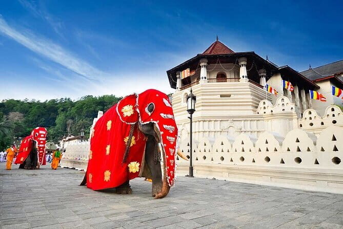 Kandy City Tour - Learning About Sri Lanka’s Tea Heritage