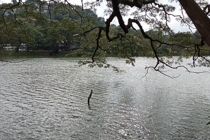 Kandy City Tour - Who Should Consider This Tour?