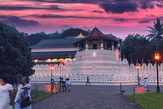 Kandy City Tour and day trip private luxury car and van - Who is This Tour Best For?