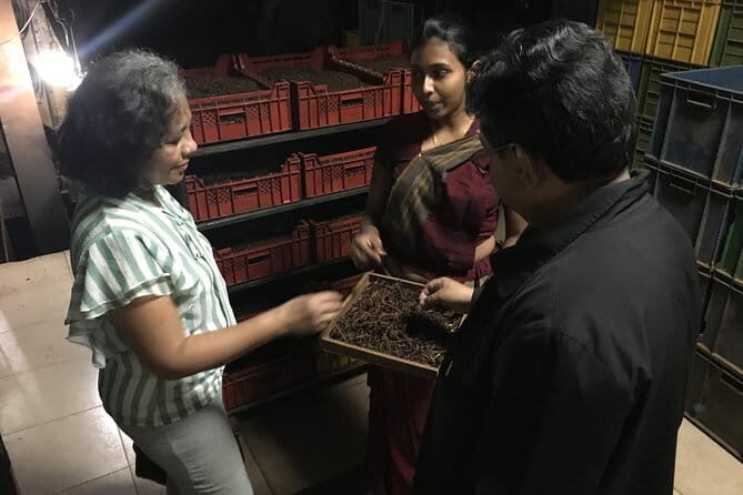 Kandy City tour and site visits - An Introduction to the Tour