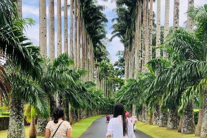 Kandy City Tour Experience from Kandy - Detailed Look at the Kandy City Tour