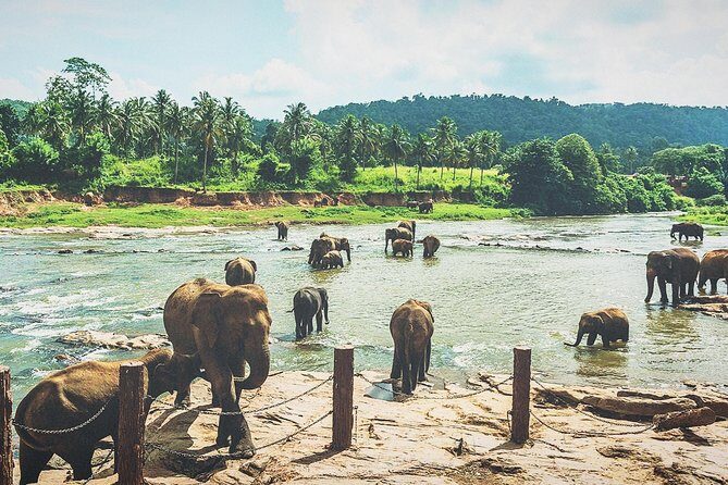 Kandy city tour for couple price - A Detailed Look at the Kandy City Tour