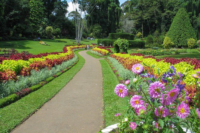Kandy City Tour from Colombo - Who Will Love This Tour?