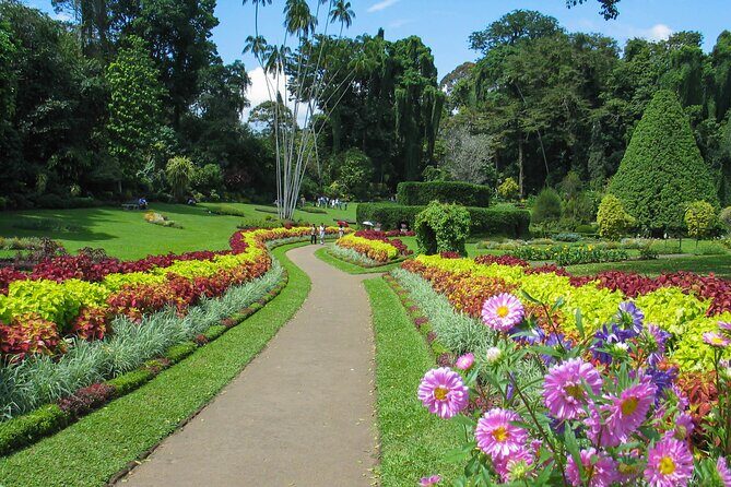 Kandy City Tour from Dambulla - The Value of This Experience