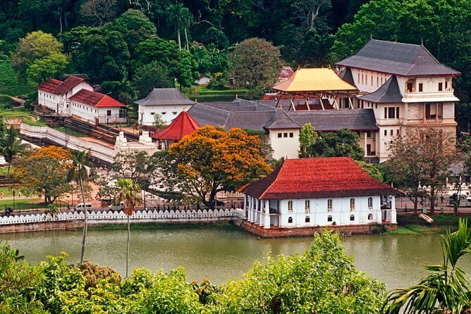 Kandy City Tour from Mount Lavinia - Key Points