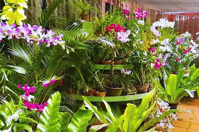 Kandy City Tour from Mount Lavinia - Final Thoughts