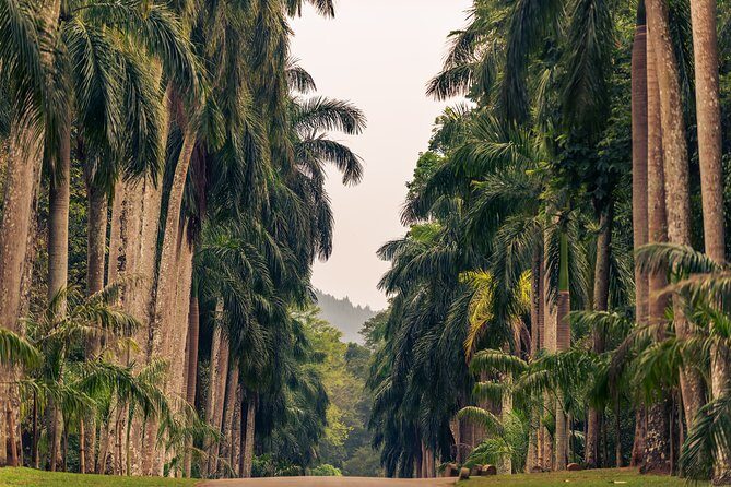 Kandy City Tour from Negombo - Final Words