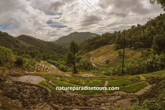 Kandy City Tour in a TukTuk - FAQ