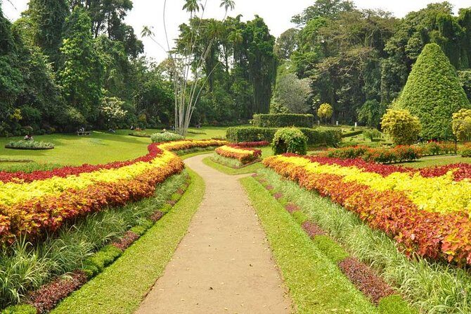 Kandy City Tour with Mahaweli - Who Will Love This Experience?