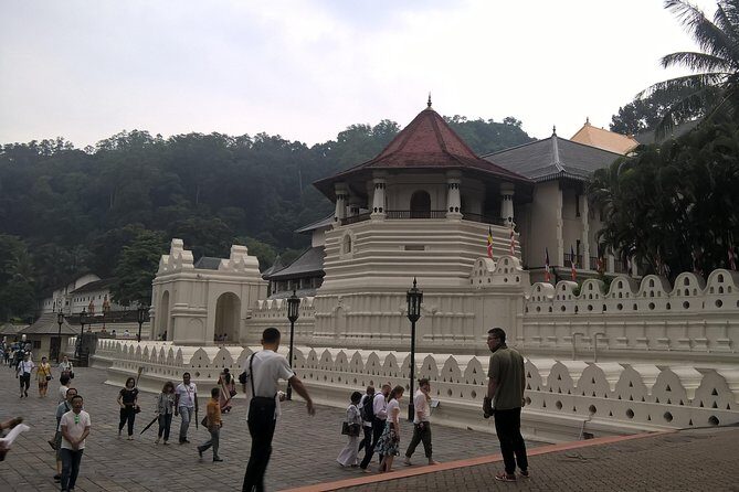 Kandy Day Tour From Colombo - The Sum Up