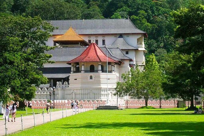 Kandy Day Tour From Colombo - Practical Details and Tips