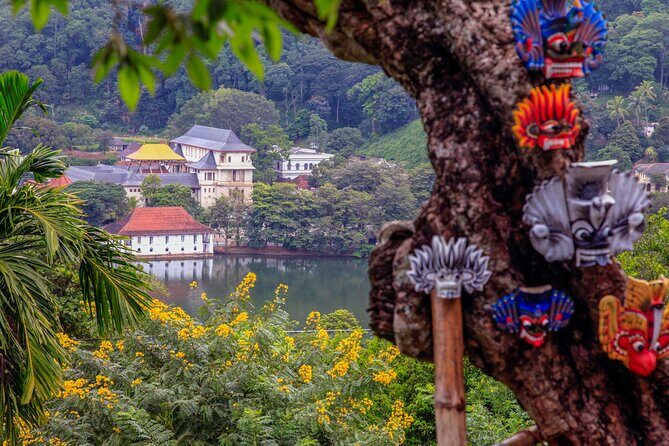 Kandy Day Tour From Colombo - The Sum Up: Who Should Consider This Tour?