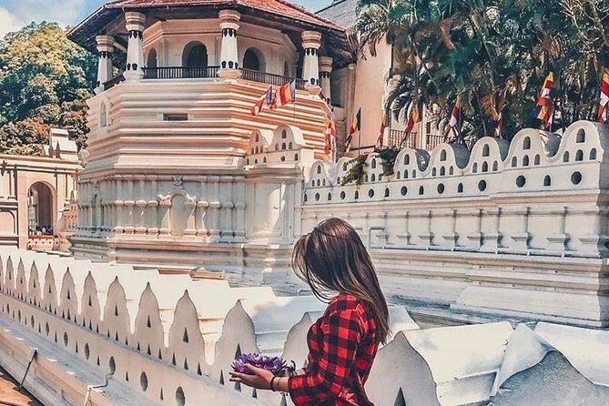 Kandy Day Tour From Colombo with Pinnawala - A Deep Dive into the Kandy Day Tour Experience