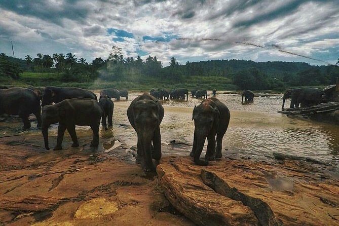 Kandy Day Tour From Colombo with Pinnawala - FAQ