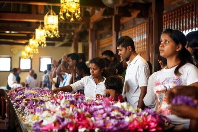 Kandy Day Tour from Kalutara - The Sum Up: Is This Tour Right for You?