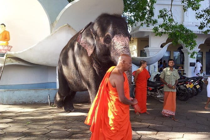 Kandy Day Tour from Kalutara - FAQ