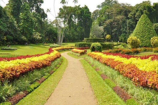 Kandy Day trip from Kalutara Beruwala Bentota Aluthgama Wadduwa - Who Will Love This Tour?
