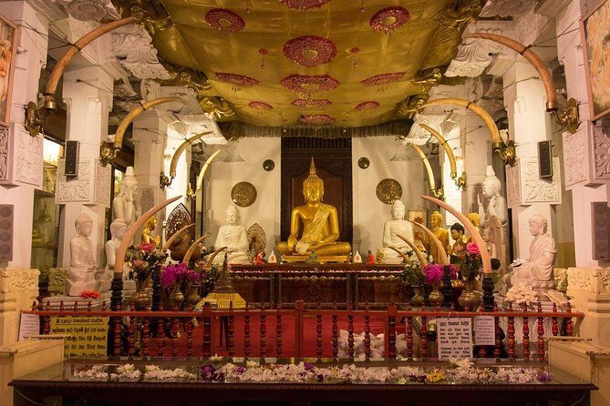 Kandy Day Trip with Tooth Relic Temple & Unique Attractions - Taking a Balanced View: The Pros and Cons