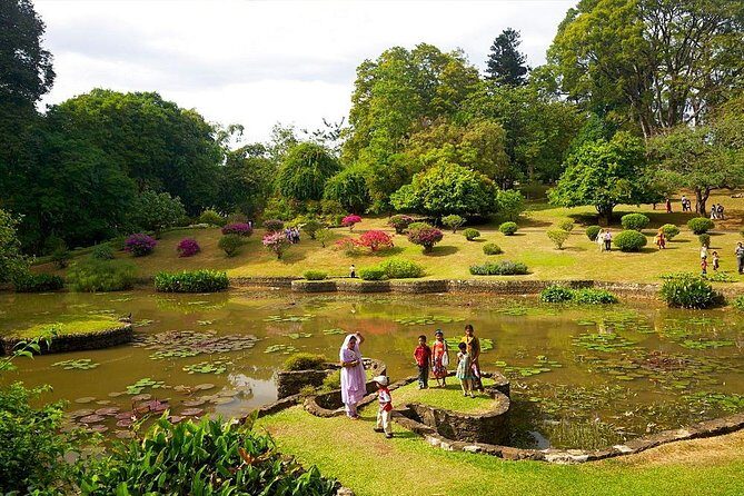 Kandy Day Trip with Tooth Relic Temple & Unique Attractions - The Sum Up