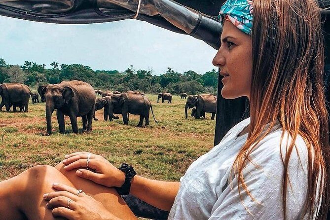 Kandy - Minneriya National park & Sigiriya Rock Fortress (Tours & Entrance fees) - Who Is This Tour Best For?