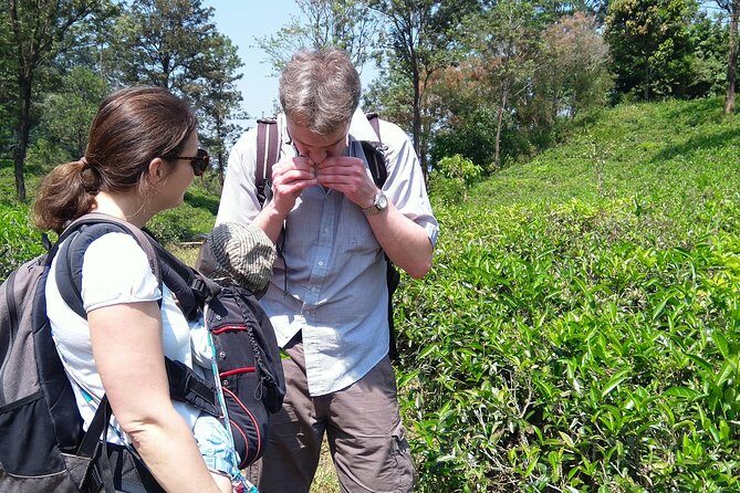 Kandy Nature & Culture Tour - FAQs