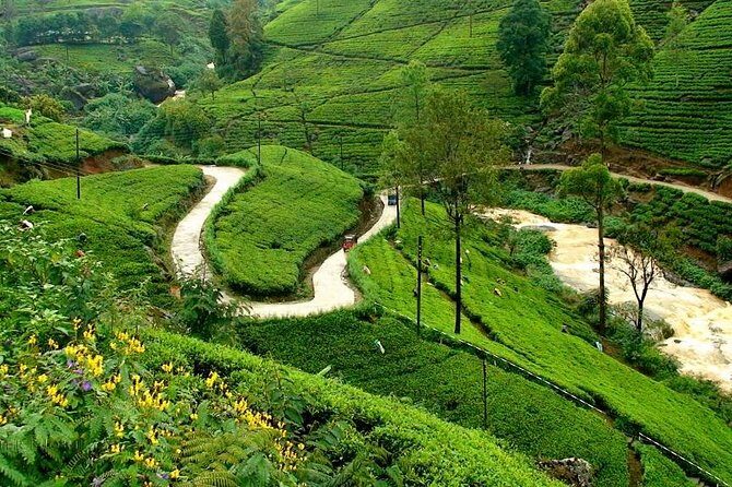 Kandy & Nuwara Eliya | 2 Days Tour - A Close Look at the 2-Day Itinerary