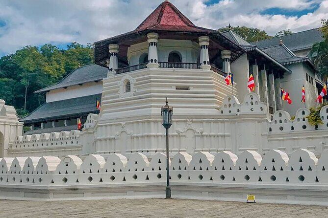 Kandy & Pinnawala Elephant Orphanage Day Trip from Negombo - Who Should Consider This Tour?