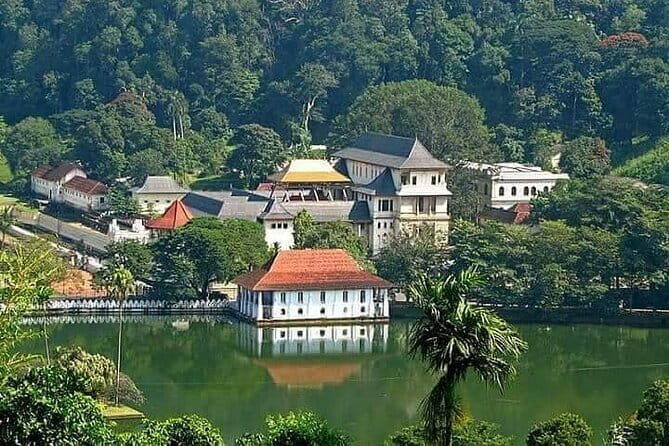 Kandy Private Transport with Sightseeing from Colombo - Key Points