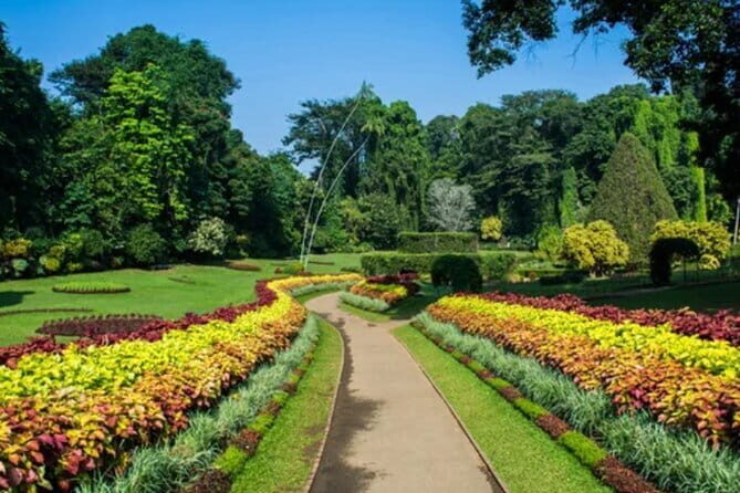 Kandy & Tea Wonderland: A Day of Heritage, Views, & Flavors - Practical Insights and Travel Tips