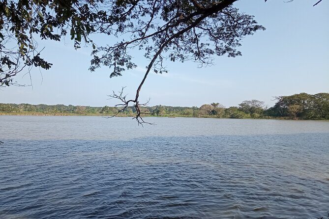 Kandy to Anuradhapura Tour - Kandy to Anuradhapura Tour: An In-Depth Look at a Sacred Journey