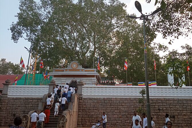 Kandy to Anuradhapura Tour - The Sum Up