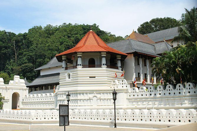 Kandy to Dambulla Cave Temple and Sigiriya - Day Tour - A Well-Rounded Cultural Day Out