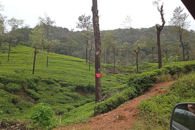 Kandy to Ella Day tour - Key Points