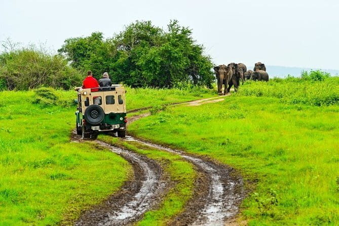 Kandy to Nanuoya (Nuwaraeliya) by Train - Reserved Seats - Cancellation and Booking Flexibility