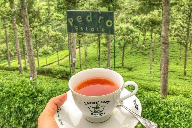 Kandy to Nuwara Eliya Day Tour - Kandy to Nuwara Eliya Day Tour Review