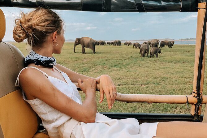Kandy to Trincomalee Shuttle & Safari Drive - A detailed look at the tour