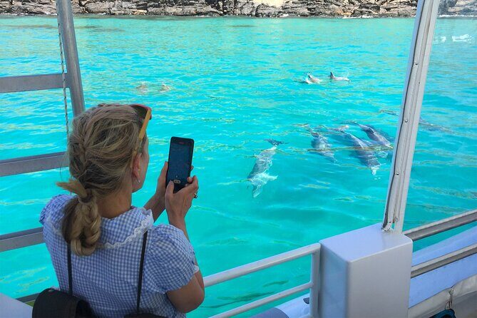 Kangaroo Island 75-Minute Coastal Safari - Embarking from Christmas Cove: Starting Point and Logistics