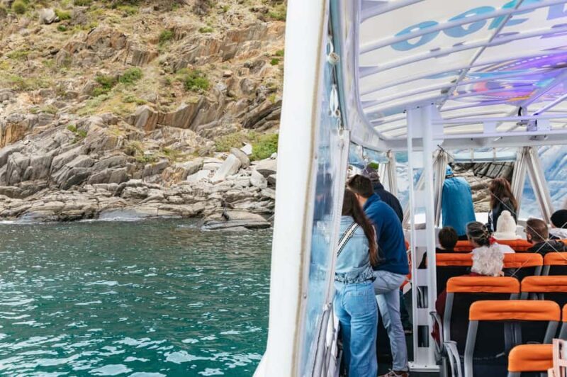 Kangaroo Island: 75-Minute Coastal Safari - Kangaroo Island: 75-Minute Coastal Safari – A Deep Dive Review