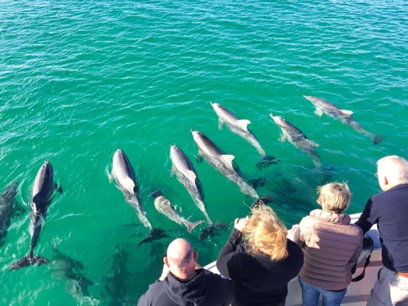 Kangaroo Island: 75-Minute Coastal Safari - Who Will Love This Tour?