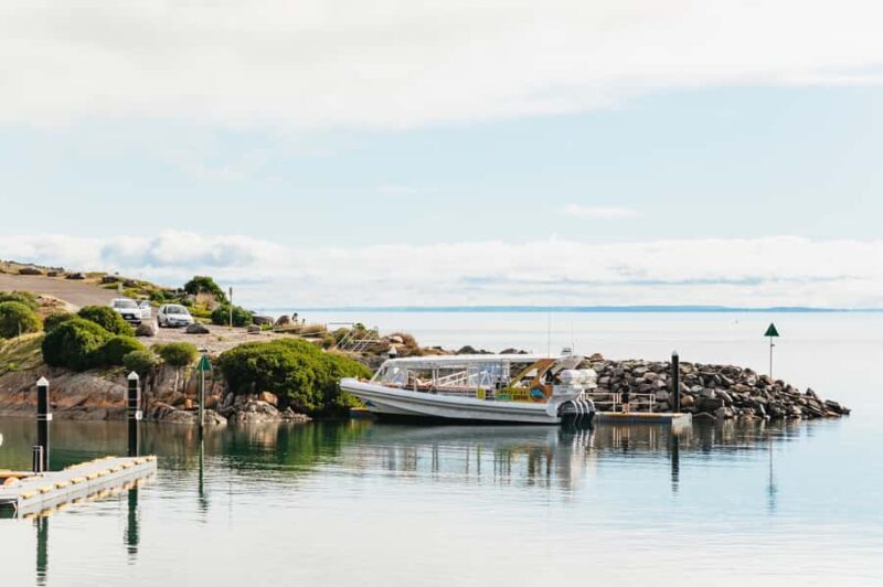 Kangaroo Island: 75-Minute Coastal Safari - Final Recommendation