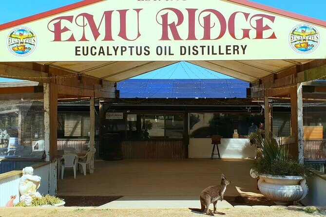 Kangaroo Island Half-Day Tour - Is It Worth the Price?